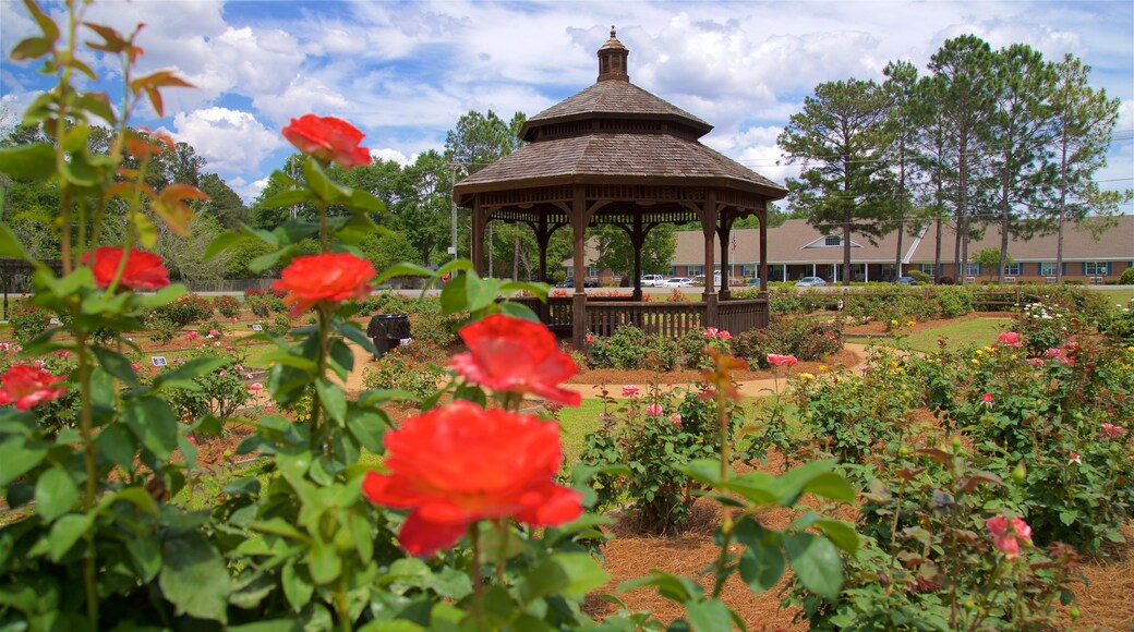 Thomasville Rose Garden showing a park and wild flowers