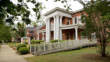 Theater Albany which includes heritage elements and a house