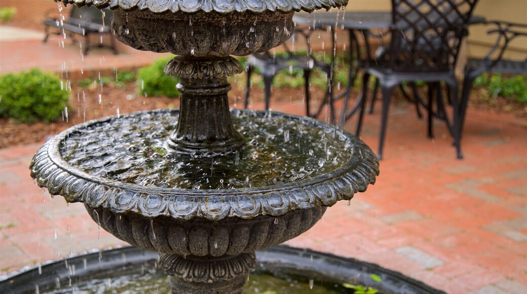 Tifton which includes a fountain
