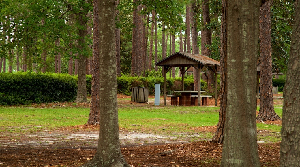 Fulwood Park featuring a garden