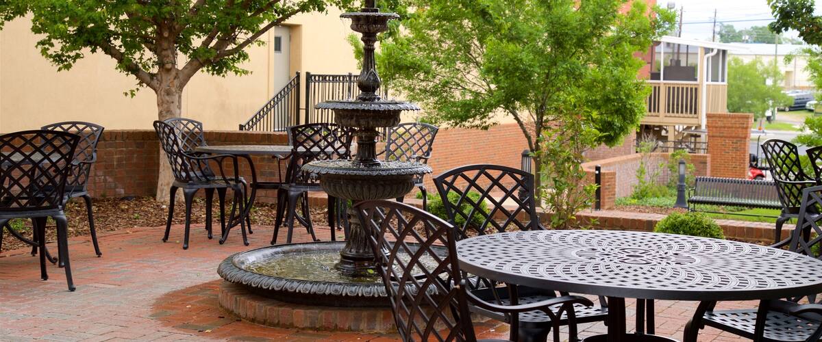 Tifton showing a garden