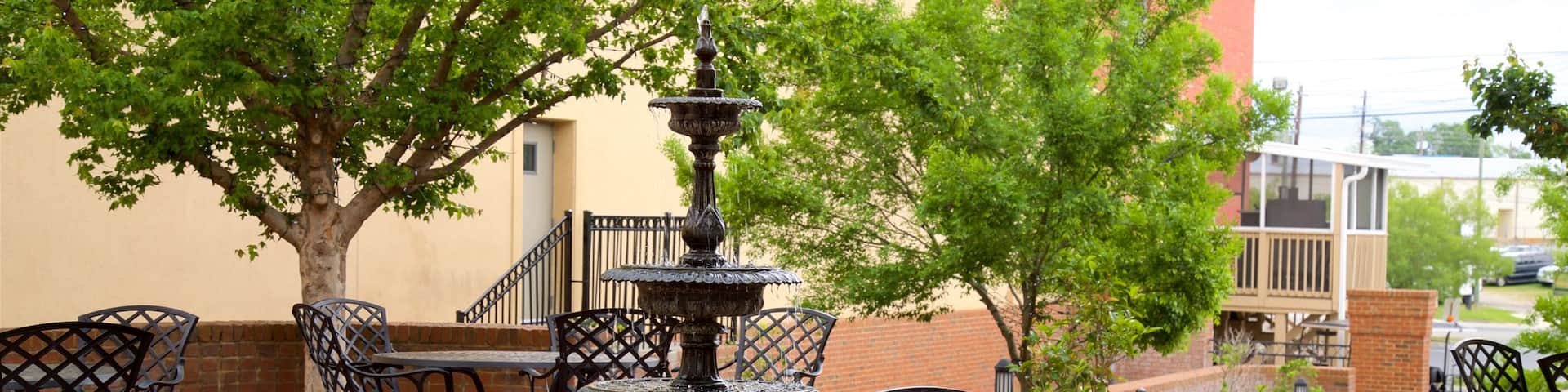 Tifton showing a garden