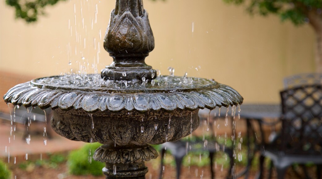 Tifton featuring a fountain