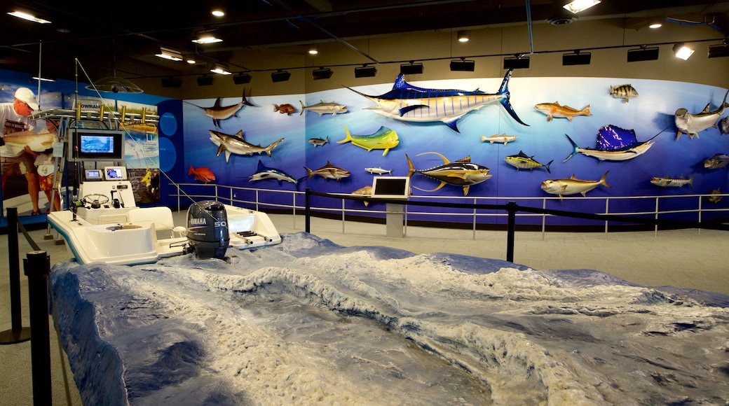 Go Fish Education Center mostrando vida marina y vistas interiores