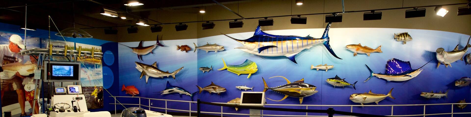 Go Fish Education Center featuring marine life and interior views