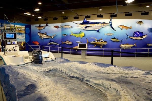 Go Fish Education Center welches beinhaltet Meeresbewohner und Innenansichten