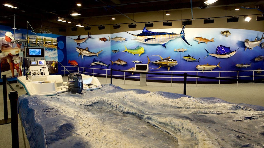 Go Fish Education Center featuring marine life and interior views