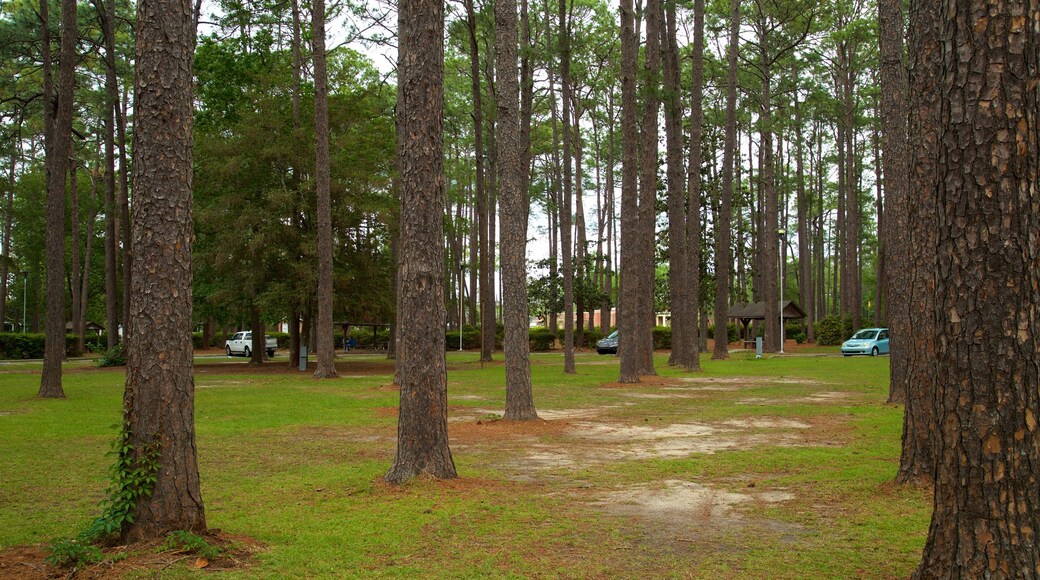 Fulwood Park showing a park