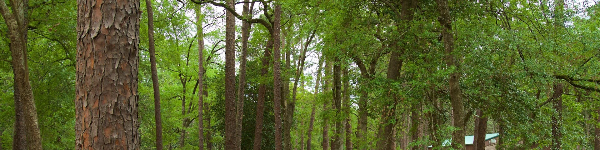 Fulwood Park featuring a park