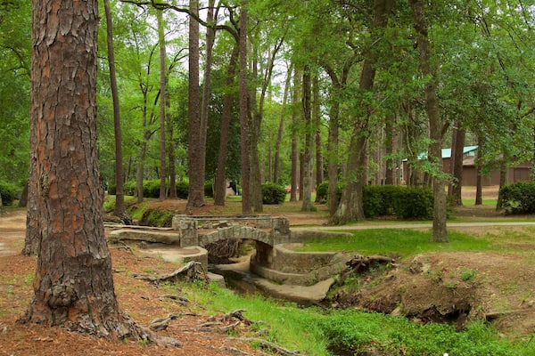 Fulwood Park og byder på en park