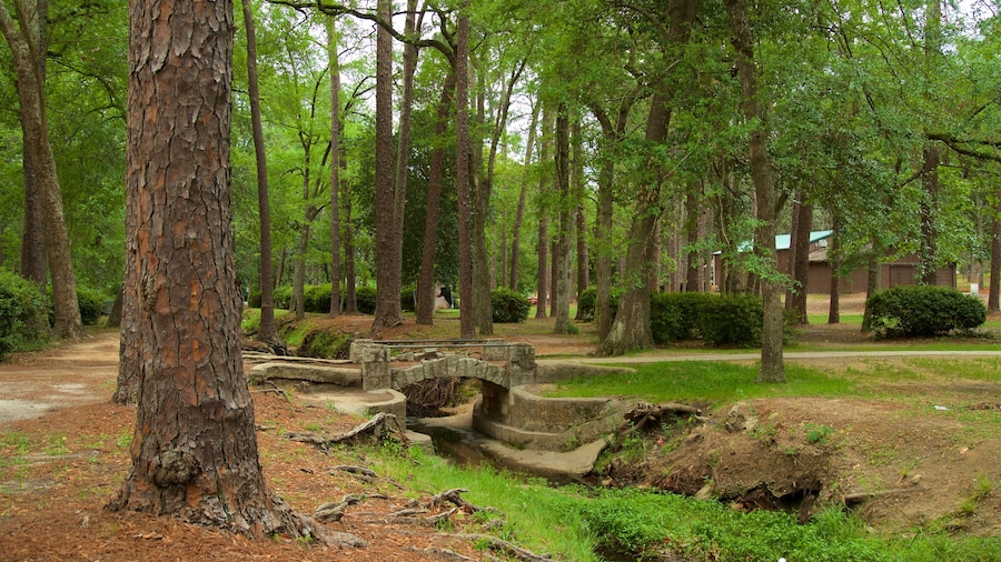 Parque Fulwood que incluye un parque