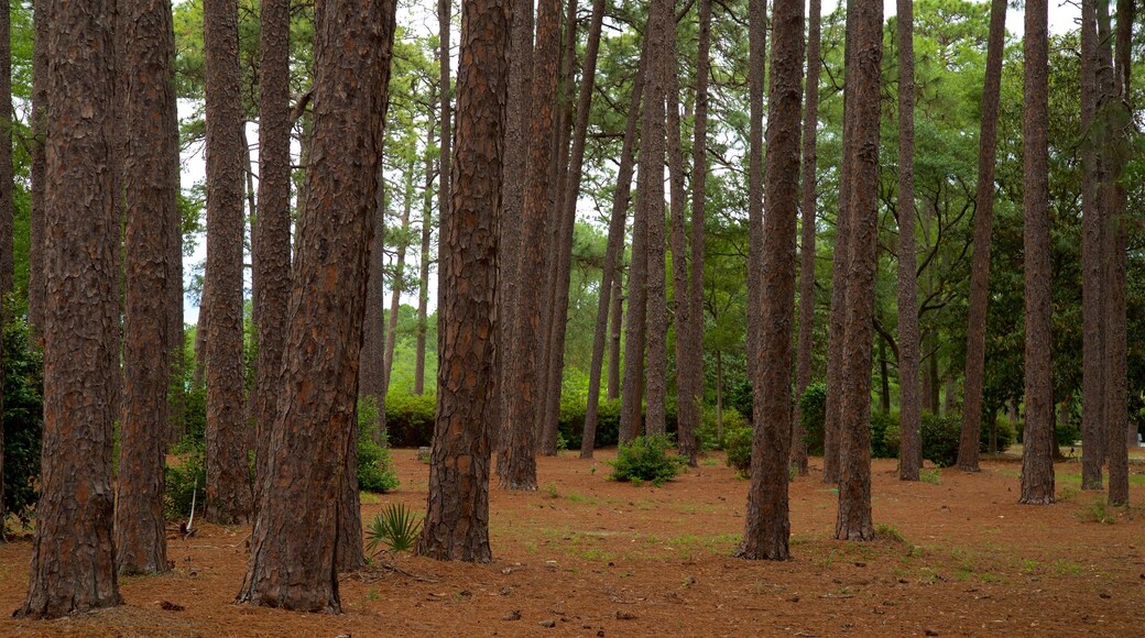 Fulwood Park som inkluderar en park