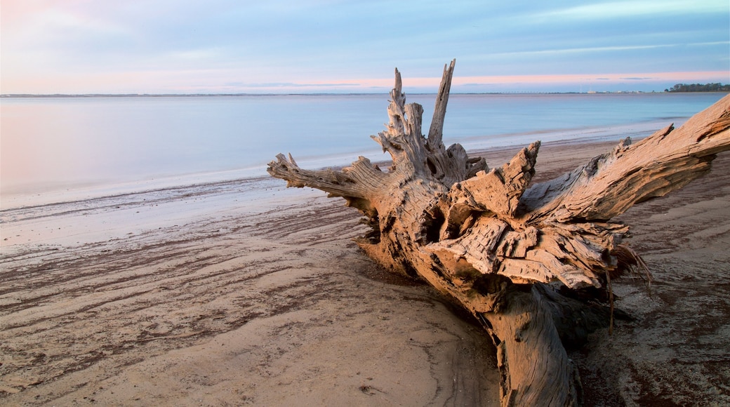 Driftwood Beach showing general coastal views, a sandy beach and a sunset