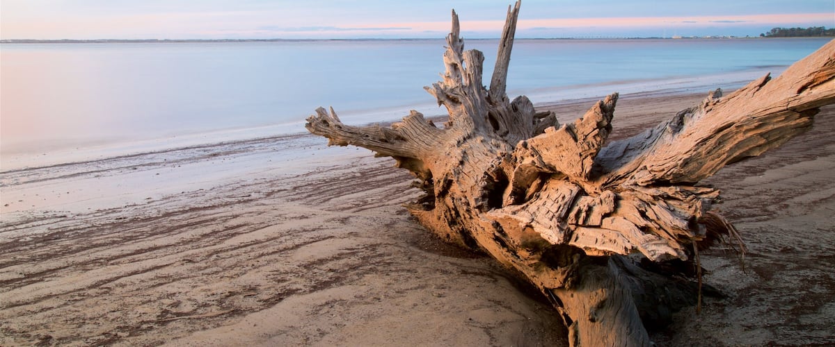 Driftwood Beach ofreciendo vistas generales de la costa, una playa y una puesta de sol