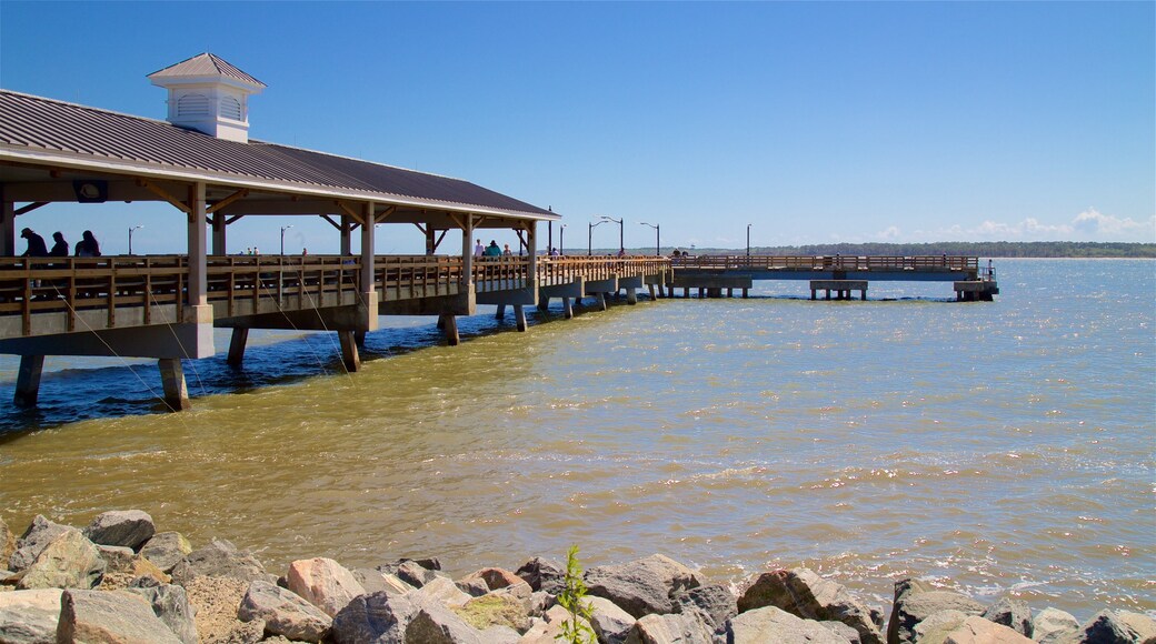 St. Simons Island Pier mostrando vistas generales de la costa