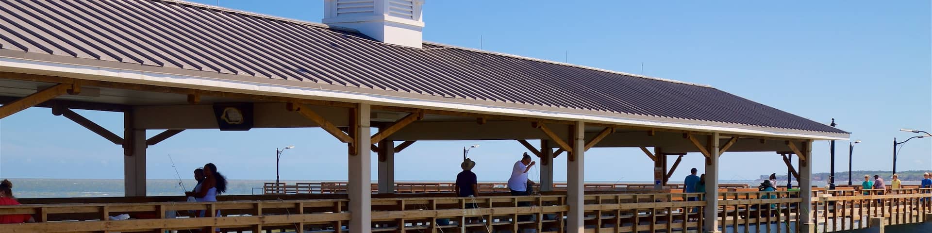 St. Simons Island Pier which includes general coastal views and fishing as well as a small group of people