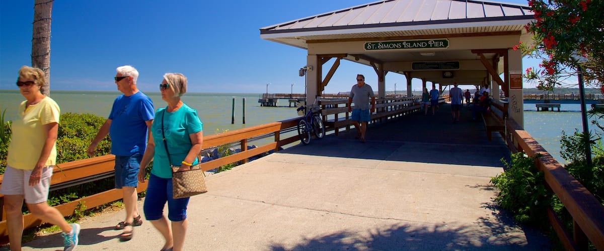 St. Simons Island Pier ofreciendo vistas generales de la costa y también un pequeño grupo de personas