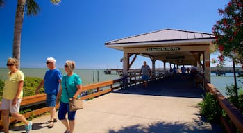 St. Simons Island Pier which includes general coastal views as well as a small group of people