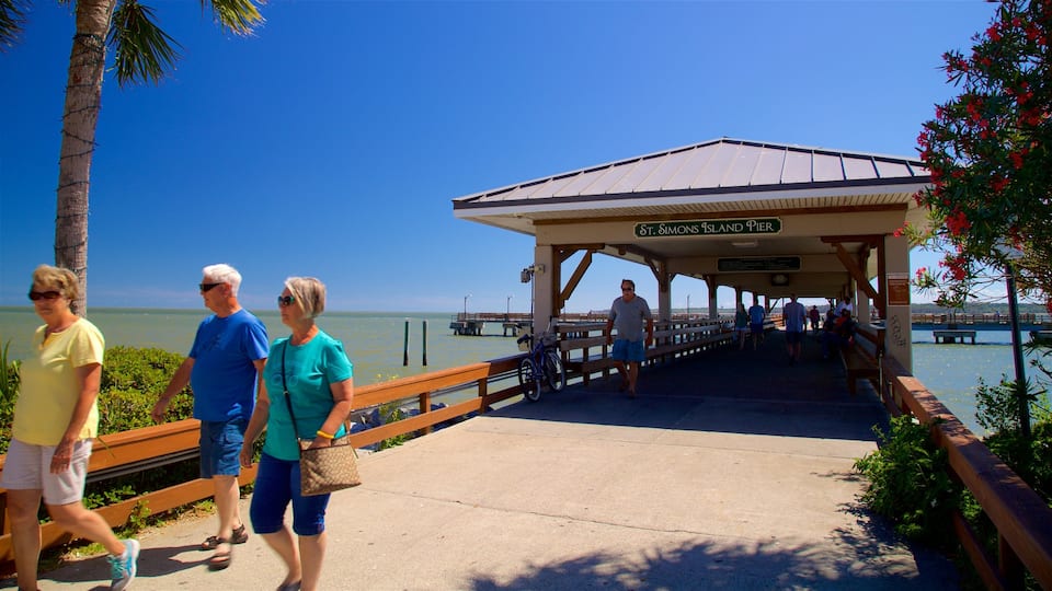 St. Simons Island Pier ofreciendo vistas generales de la costa y también un pequeño grupo de personas