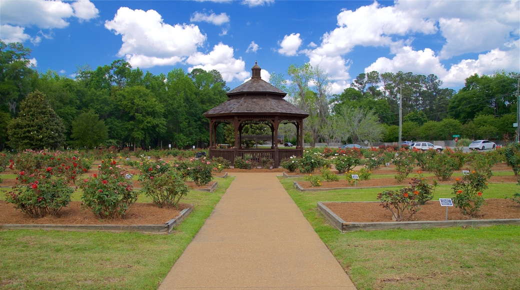 Thomasville Rose Garden featuring flowers and a park