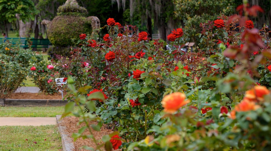 Thomasville Rose Garden showing wild flowers and a park