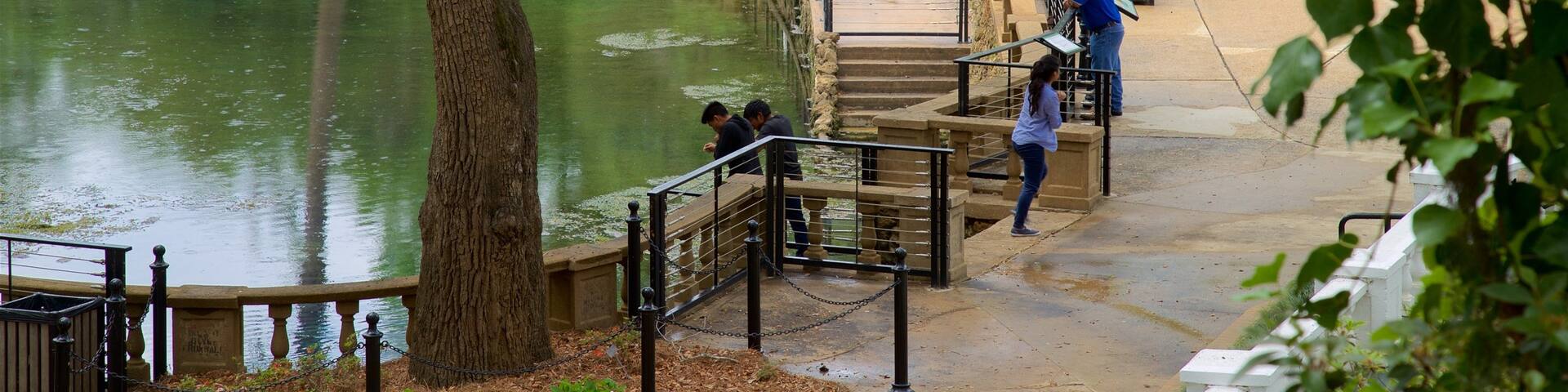 Radium Springs Gardens showing a pond as well as a small group of people