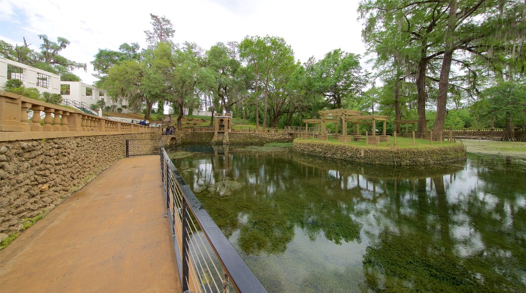 Radium Springs Gardens showing a garden and a pond