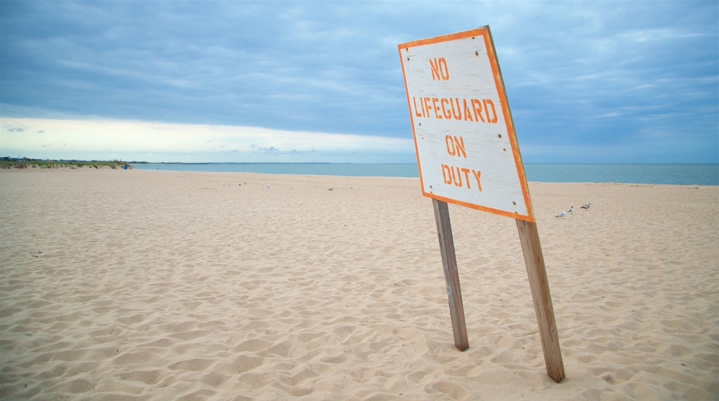 Lewes Beach featuring signage, a sandy beach and general coastal views