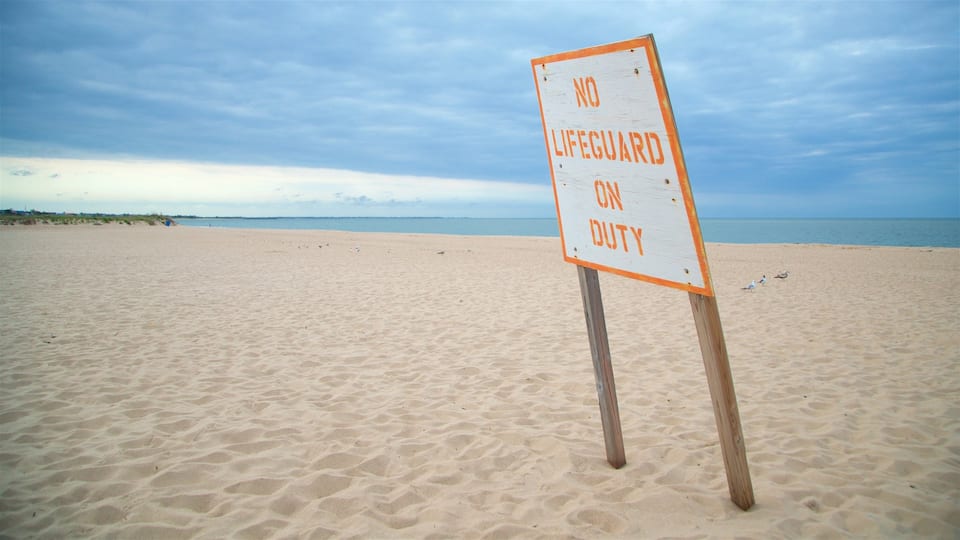 Lewes Beach which includes a sandy beach, signage and general coastal views
