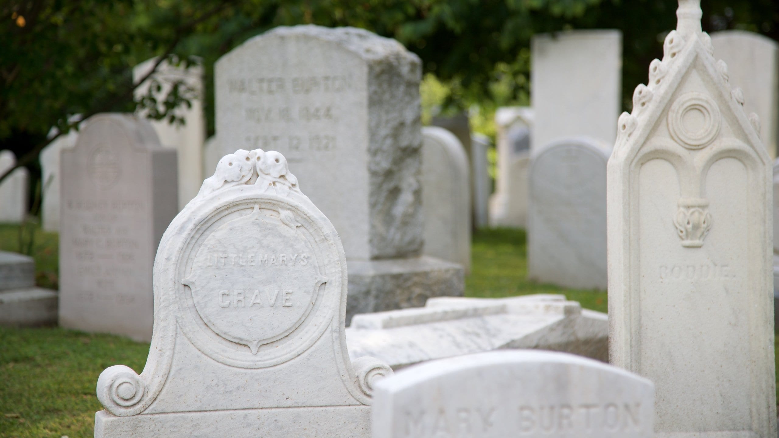 Lewes showing a cemetery