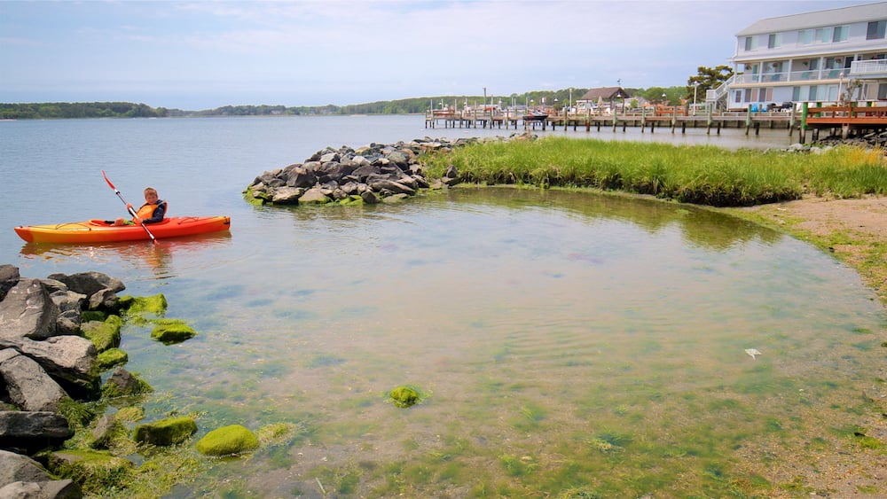 Dewey Beach which includes kayaking or canoeing and general coastal views as well as an individual child