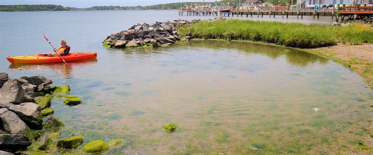 Dewey Beach que incluye kayak o canoa y vistas generales de la costa y también un niño