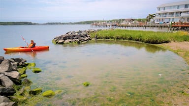 Dewey Beach que incluye kayak o canoa y vistas generales de la costa y también un niño