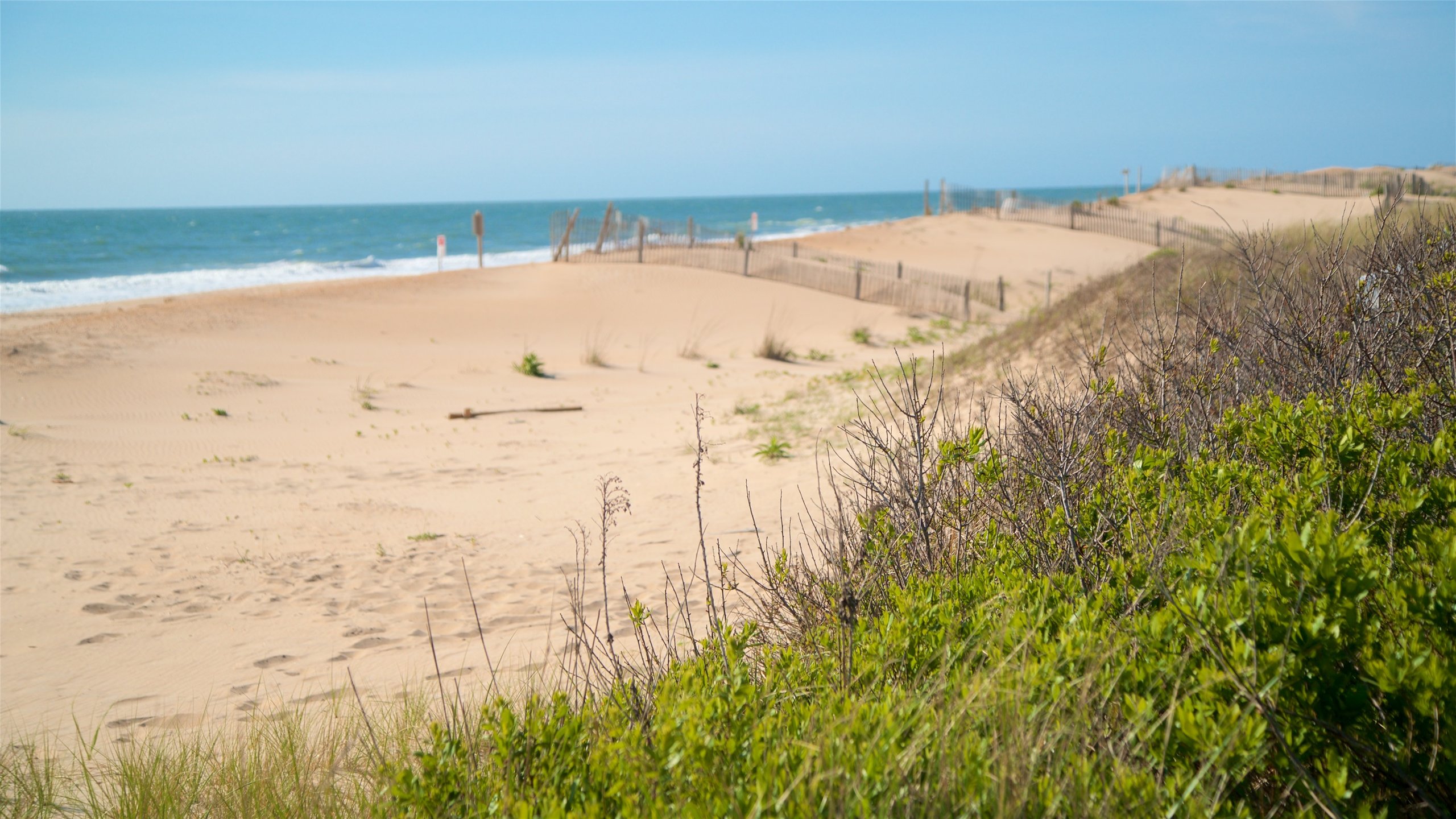 Visit Bethany Beach: 2024 Travel Guide for Bethany Beach, Delaware 