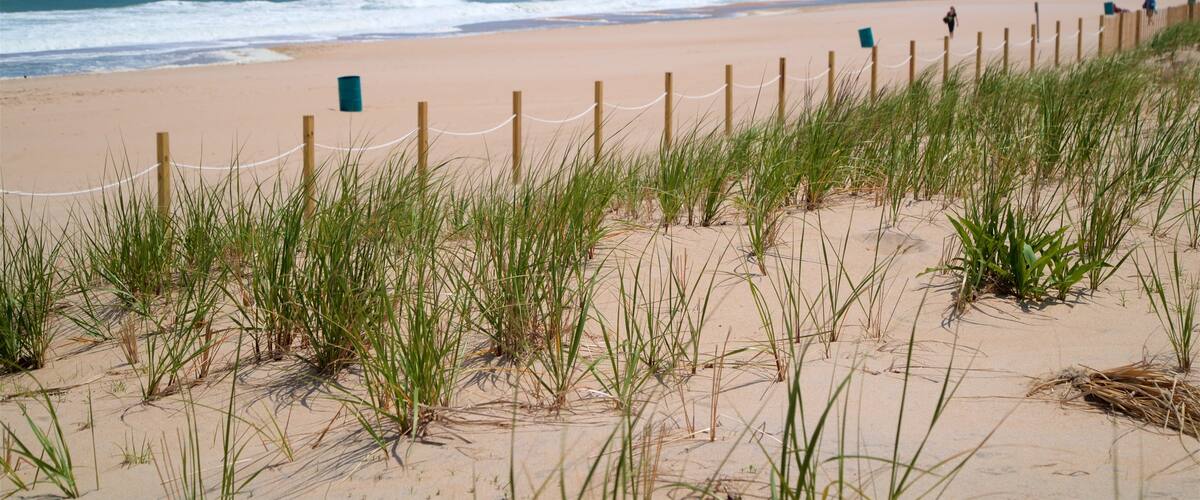 Fenwick Island which includes a sandy beach and general coastal views