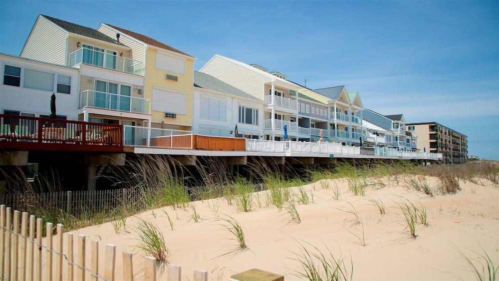 Fenwick Island showing a beach and general coastal views