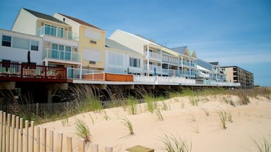 Fenwick Island which includes general coastal views and a sandy beach