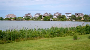 Delaware featuring a lake or waterhole