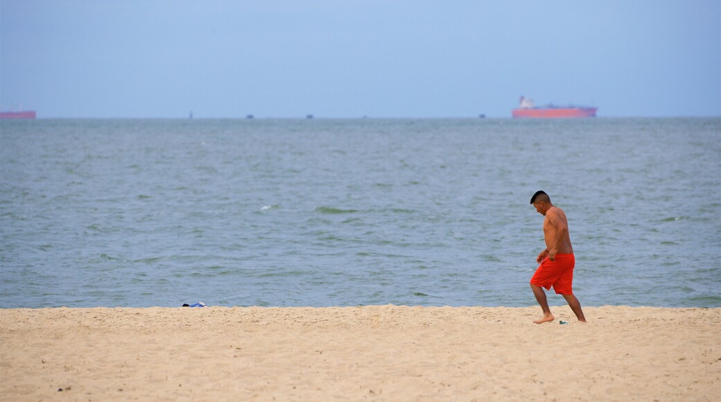 Lewes Beach que incluye una playa y vista general a la costa y también un hombre