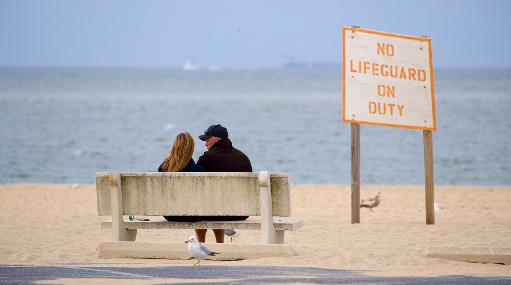 Lewes Beach showing general coastal views, a beach and signage