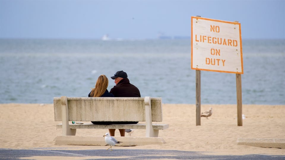 Lewes Beach showing general coastal views, a sandy beach and signage