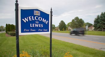 Lewes showing signage and a park