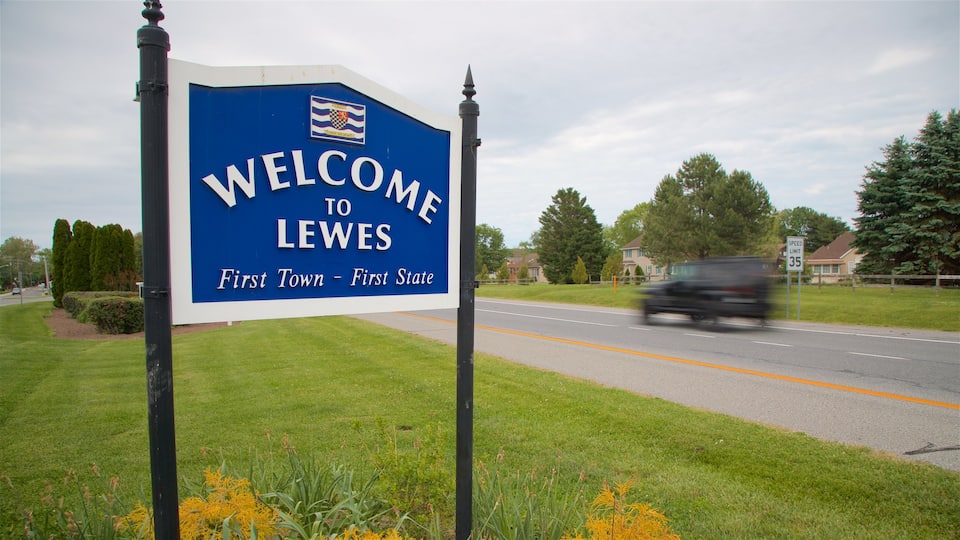 Lewes showing signage and a park