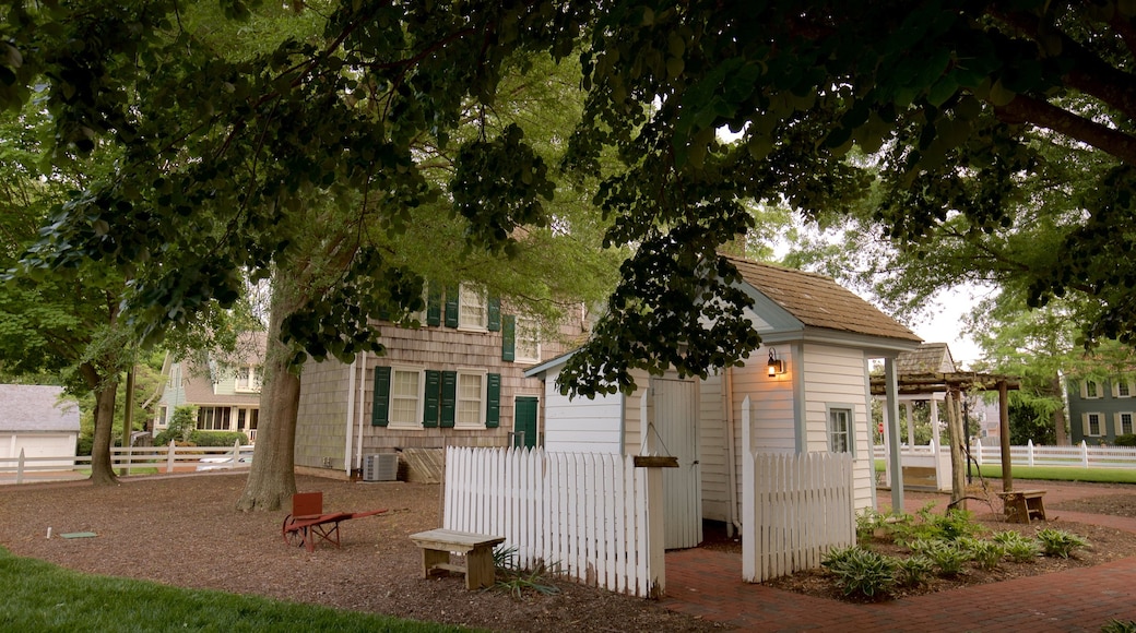 Lewes showing a house