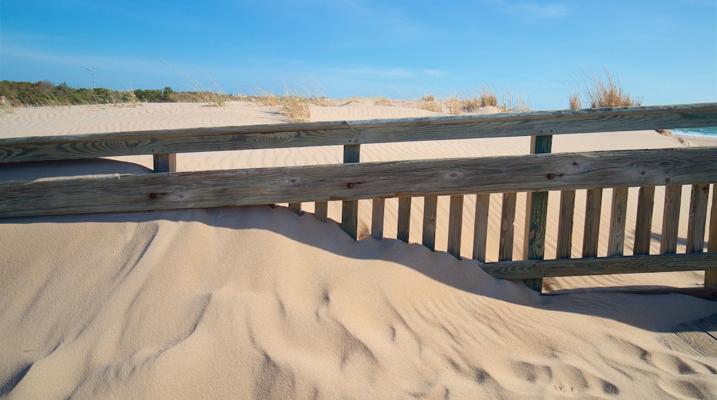 Fenwick Island State Park เนื้อเรื่องที่ หาดทราย และ ชายฝั่งทะเล