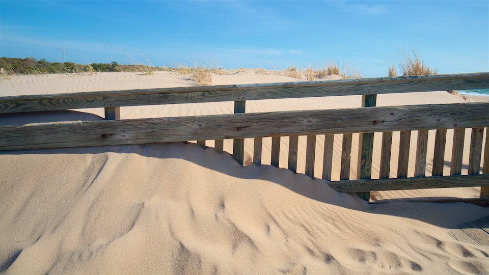 Staatlicher Park der Insel Fenwick mit einem Strand und allgemeine Küstenansicht