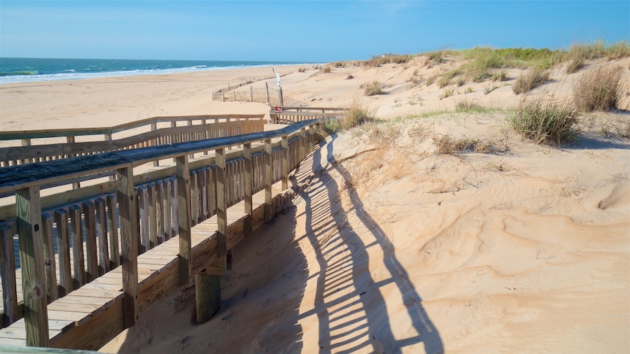 Fenwick Island State Park bevat een zandstrand en algemene kustgezichten