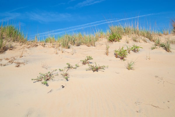 Parc provincial de Fenwick Island qui includes plage