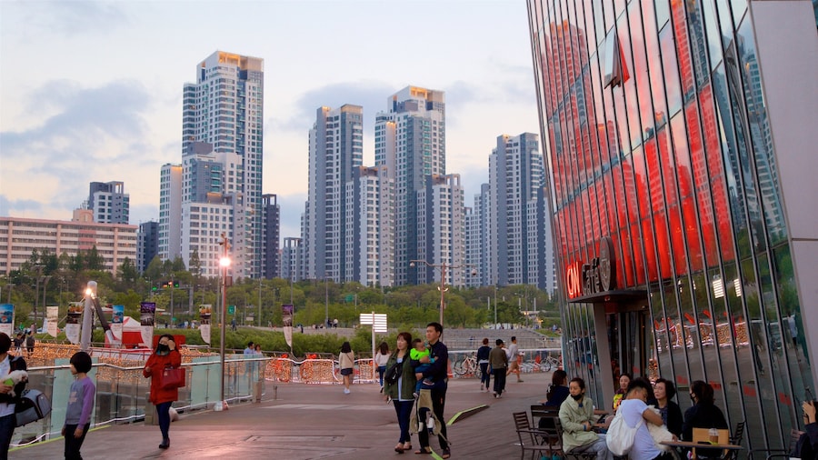 Seocho-gu featuring a skyscraper, a city and a sunset