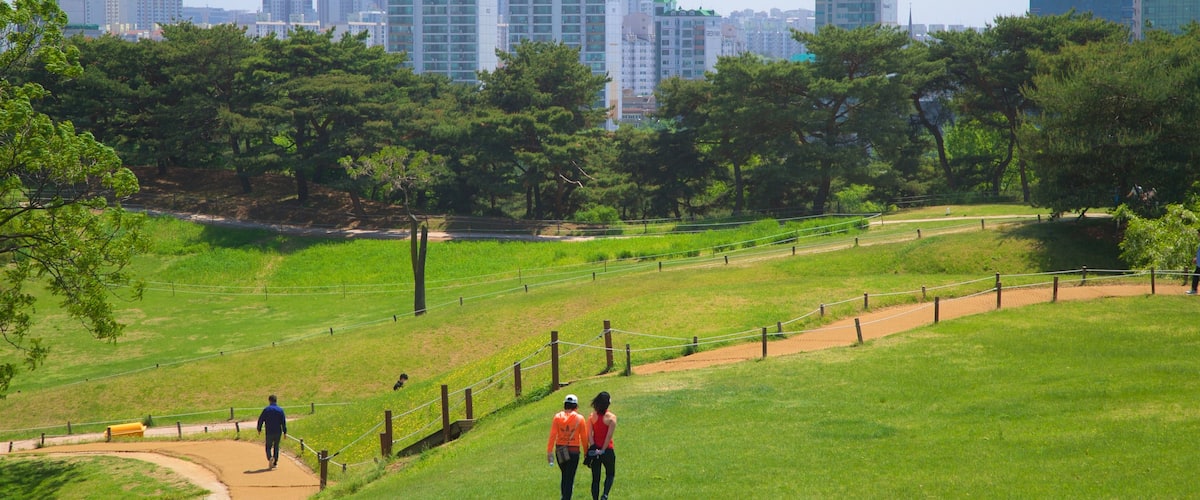 ์ฌ๋ฆผํฝ๊ณต์ ์ด ํฌํจ ํ๊ฒฝ, ๋ง์ฒ๋ฃจ ๊ณผ ๋์